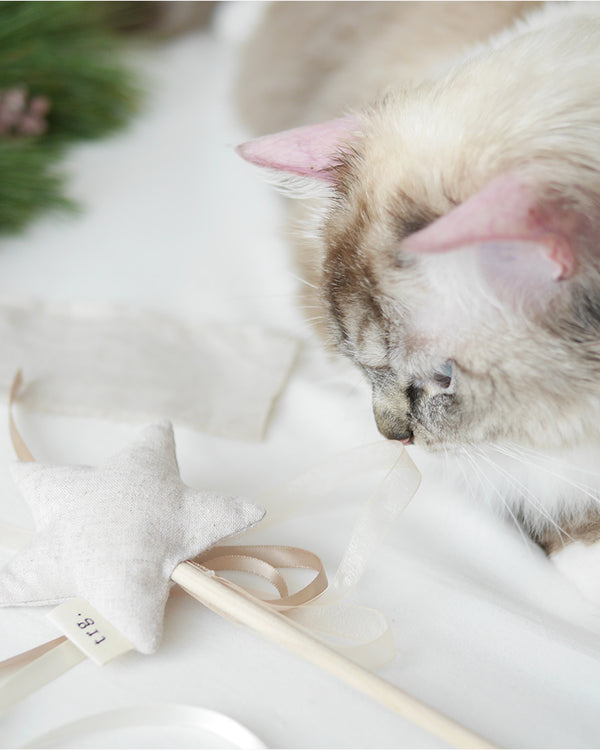 PETS SO GOOD Bonbon Wand