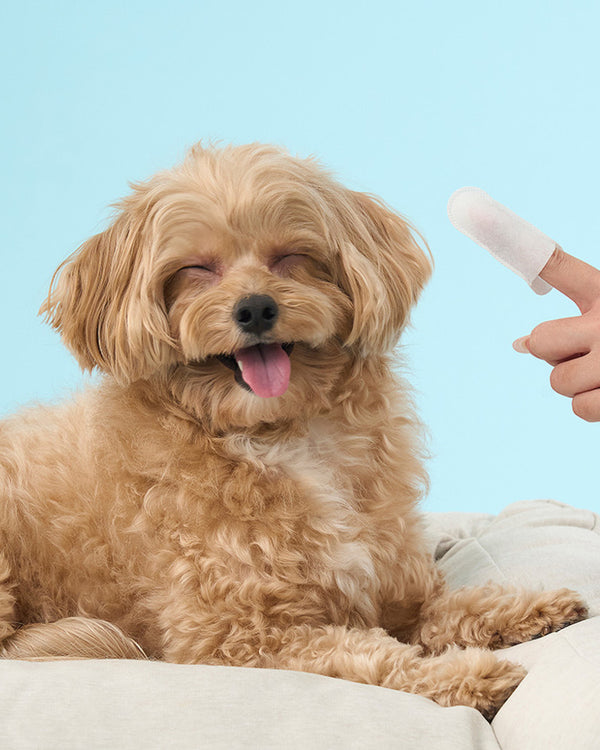 PETS SO GOOD Clean Eye Finger Tissue