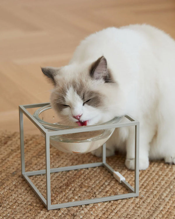 PETS SO GOOD Moonlight Elevated Pet Glass Table