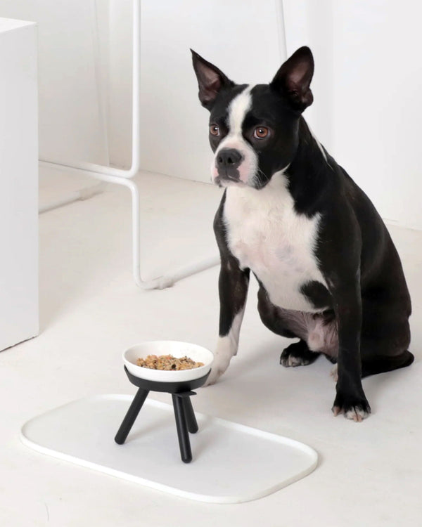 PETS SO GOOD Oreo Elevated Pet Feeder Table - Black & White