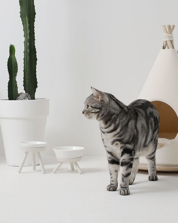 PETS SO GOOD Oreo Elevated Pet Feeder Table - White