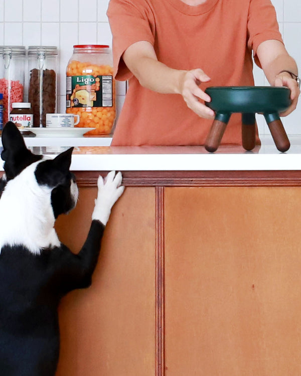 PETS SO GOOD Oreo Elevated Pet Table Wood - Dark Green