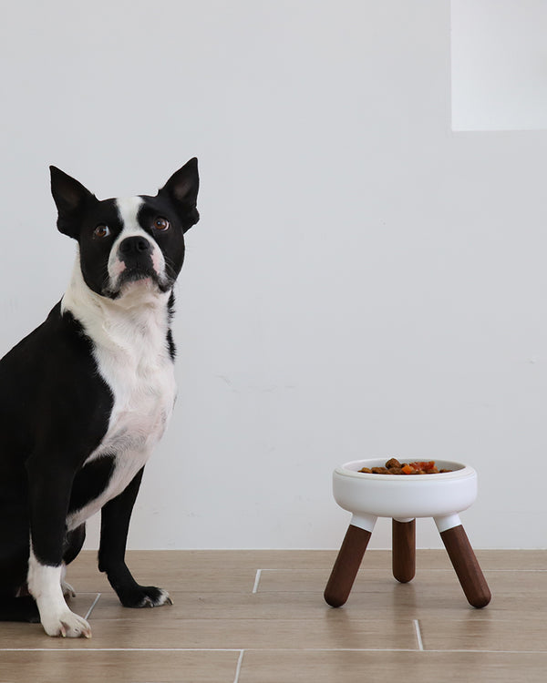 PETS SO GOOD Oreo Elevated Pet Table Wood - White