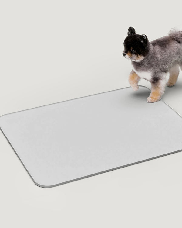 PETS SO GOOD Silicon Pee Pad Holder