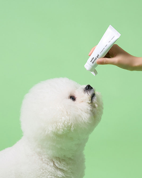 PETS SO GOOD Smile Dental Gel